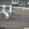 Video Campo Fuochi 2013