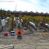 Piromusicale